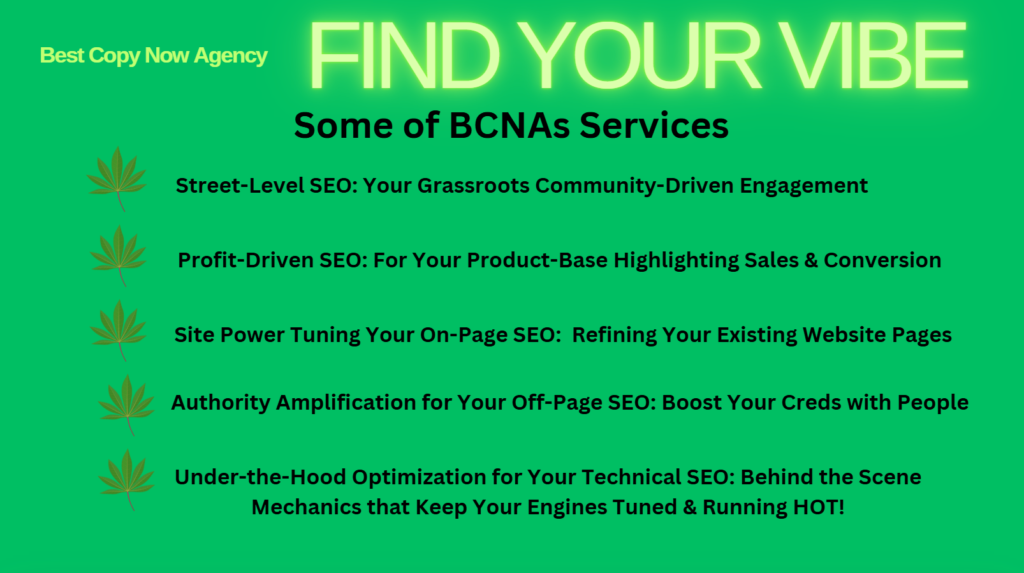 Find Your Vibe website product service listing for BCNA