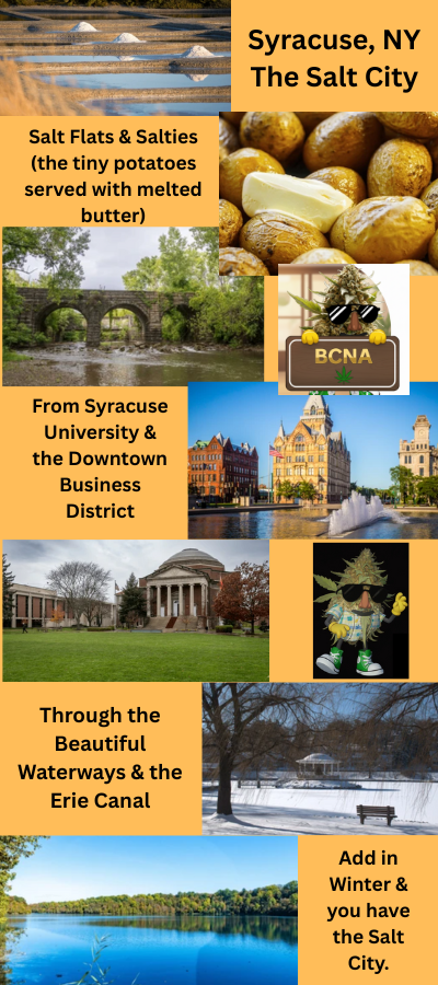 The Salt City collage of pictures of Syracuse