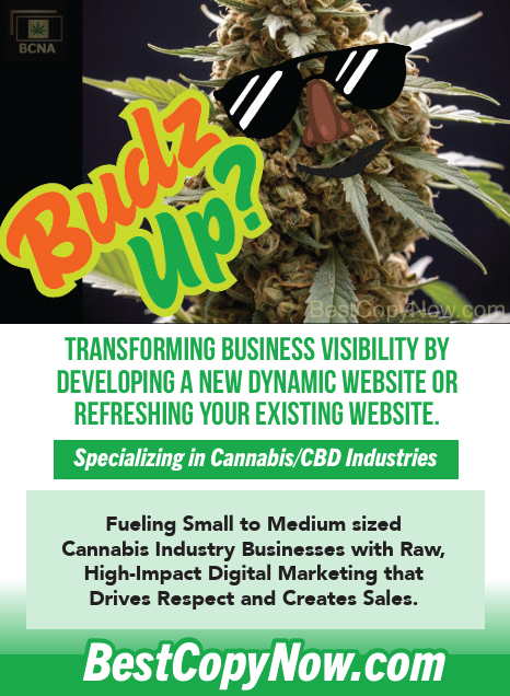 Budz Up? cannabis-themed promotional advertisement featuring a stylized cannabis plant with sunglasses, emphasizing website development and digital marketing services for the cannabis industry by BestCopyNow.