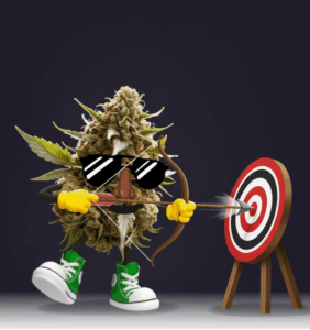 range-marketing targeting for syracuse with budz