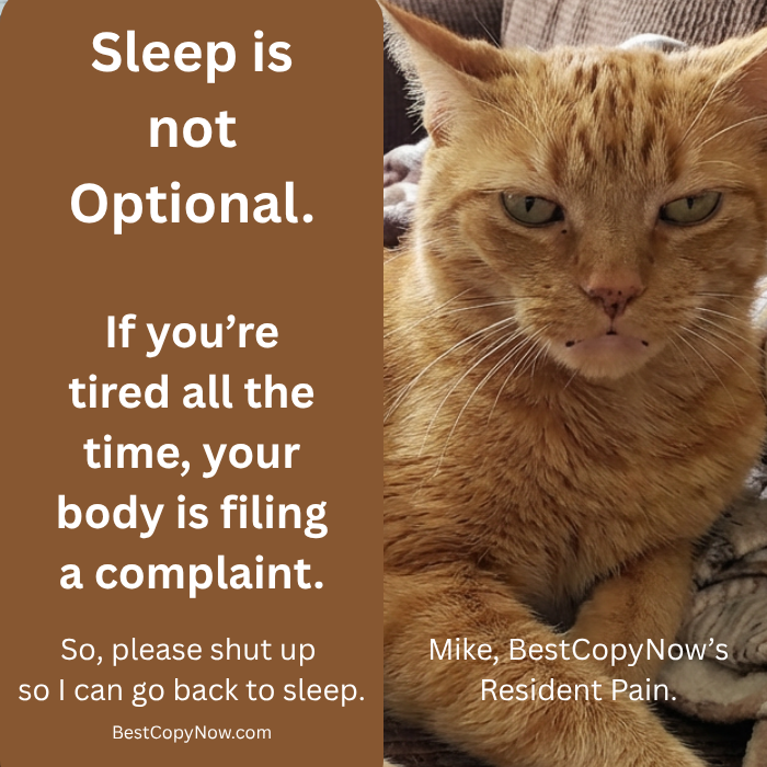 Mike, the cat, is all talk