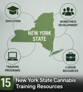map of NYS showing different cannabis business opportunities