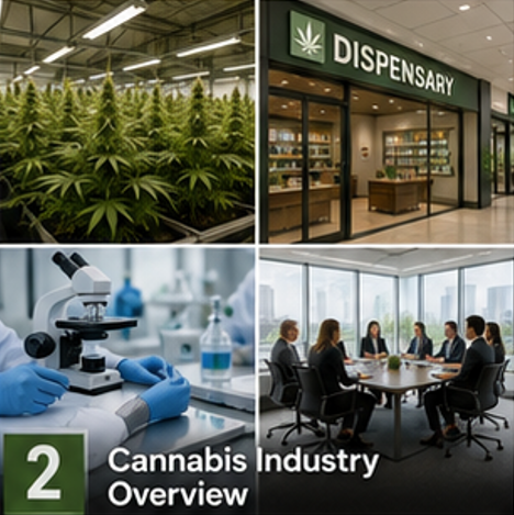 a 4 part cannabis industry overview.