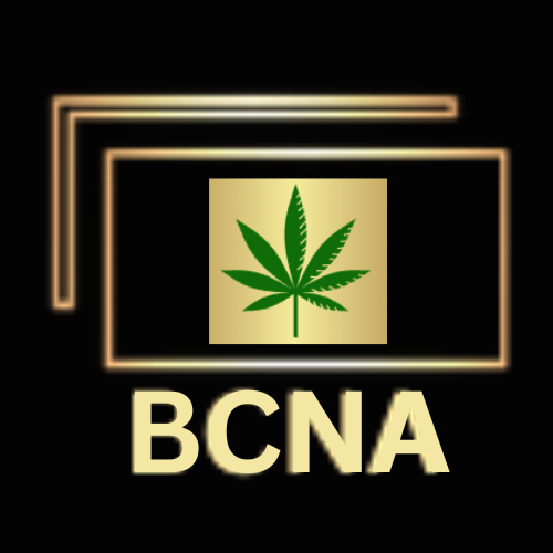 BestCopyNow Agency Logo