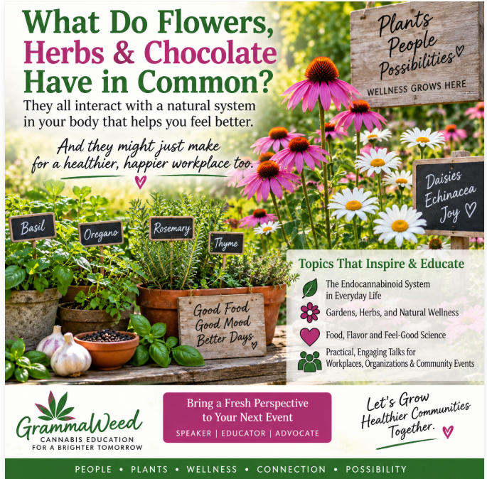 flower and herb garden