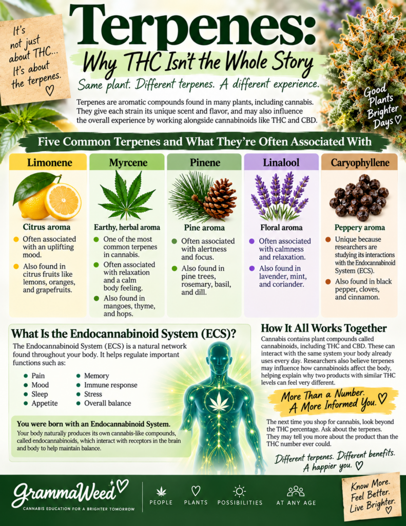 different terpenes in plants