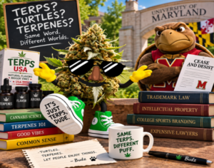 terps vs turtles war